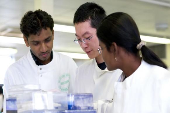 More science students needed in universities