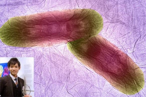 Malaysian Doctoral Student Wins Photography Award