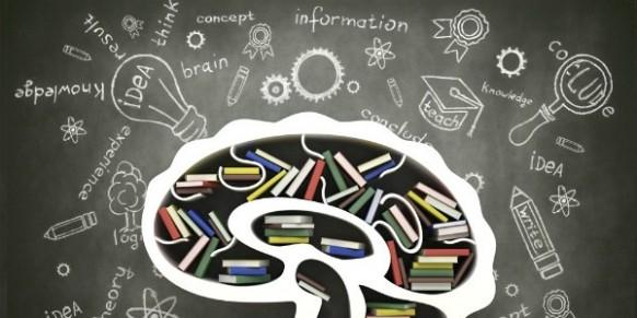 Alternative Education for Children aged 7-14
