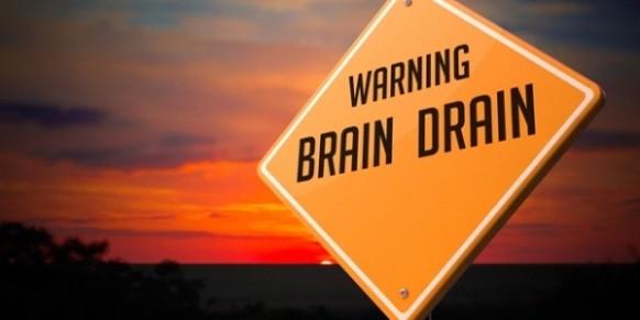 Brain drain trends