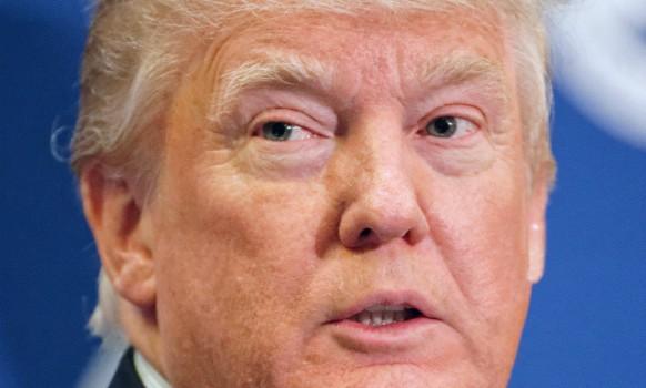 What has the new US president-elect to say about education?
