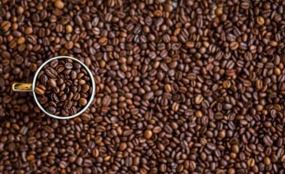 INTEC to discuss education pathways over coffee at Open Day