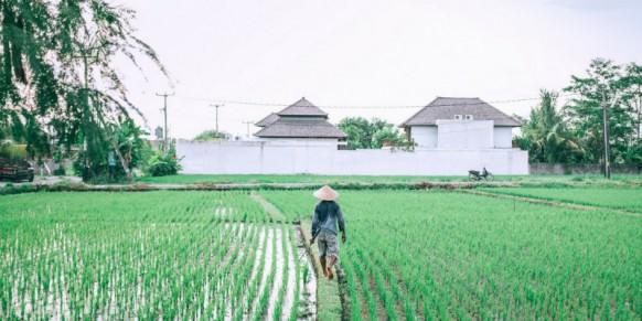 Nature vs Nature : For the Greater Good of Agriculture