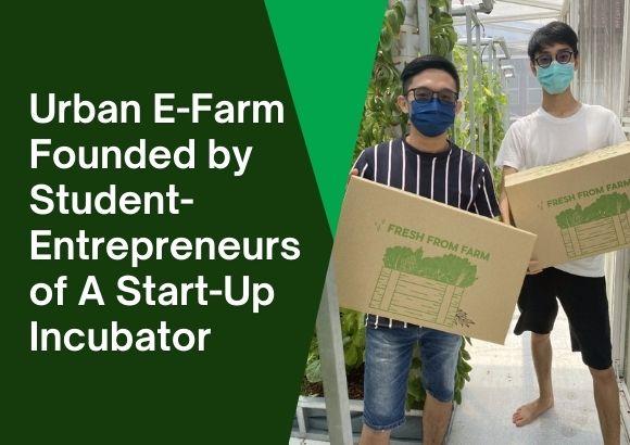 Urban E-Farm Founded by Student-Entrepreneurs of A Start-Up Incubator