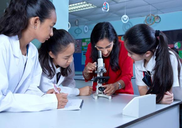 Asia Pacific Schools prepares you for study at top New Zealand universities 